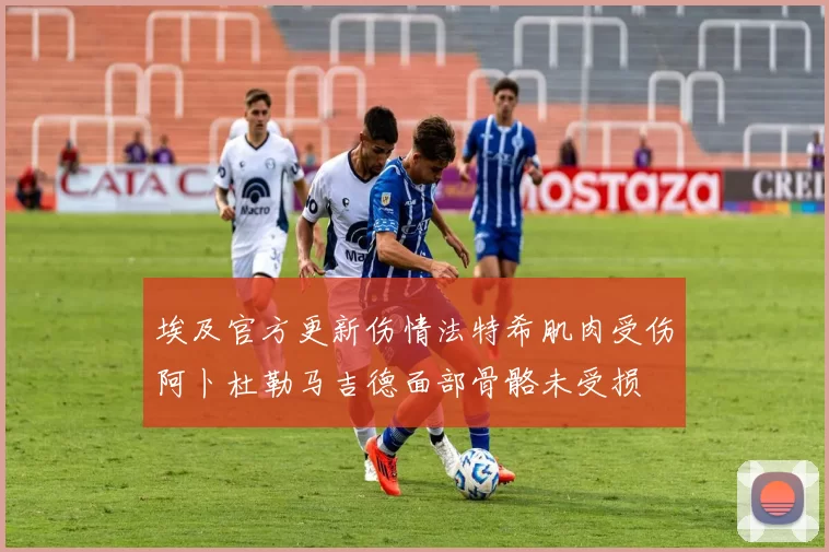 埃及官方更新伤情法特希肌肉受伤阿卜杜勒马吉德面部骨骼未受损